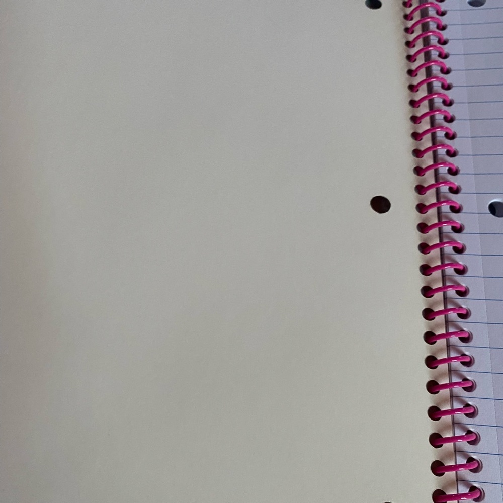 Lisa Frank Notebook - Picture 6 of 6